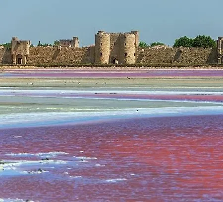 빌라 Maison Au Bord De L'eau 에그모르트