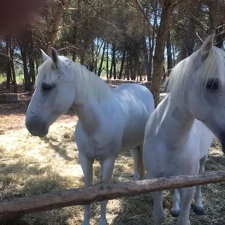 Maison Au Bord De L'eau Vila Aigues-Mortes